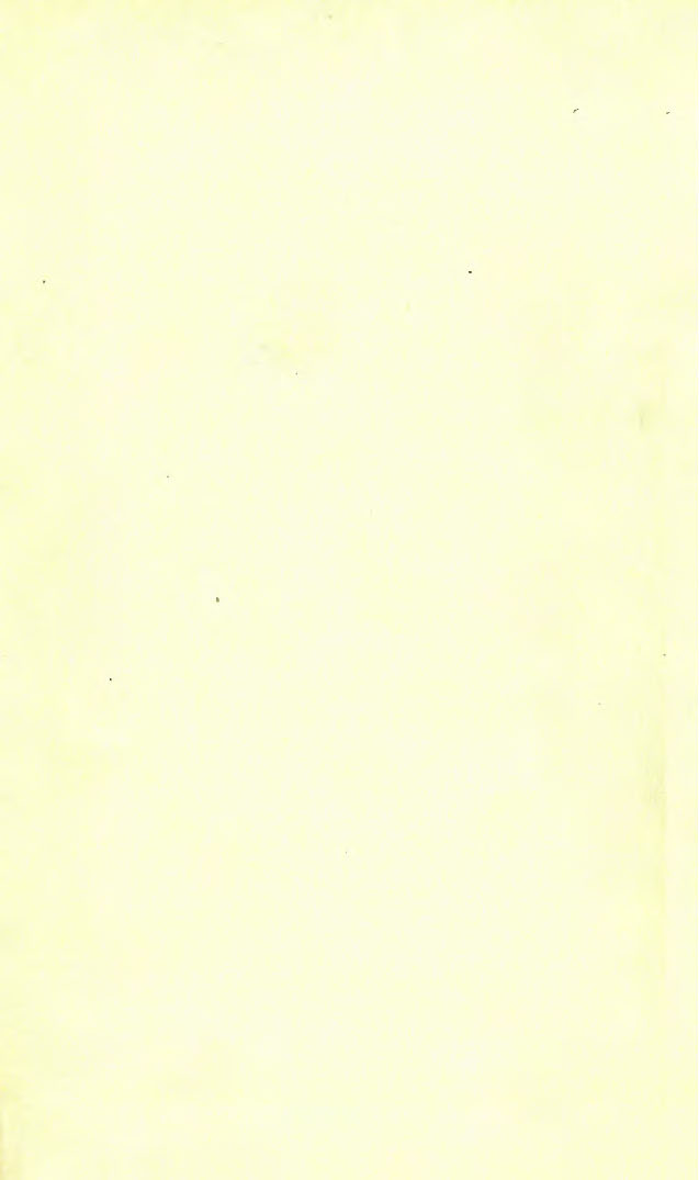 n_1919 Ford Starting & Lighting System-16.jpg